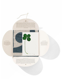 MASSIMO ALBA | Yin Yang Pocket Square | Calce 