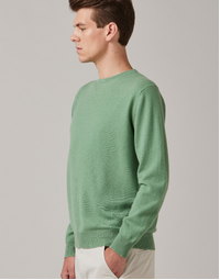 Ernest Classic Crew in Mint Small