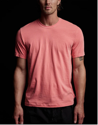 Short Sleeve Crew Neck Flamingo Pigment 2