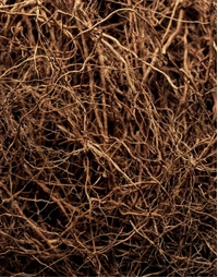 MARIEJEANNE | Vetiver Santal 100ml