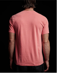 Short Sleeve Crew Neck Flamingo Pigment 2