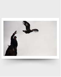 SOPHIE HOWARTH PHOTOGRAPHY | Greeting Card | Eagle Hunter