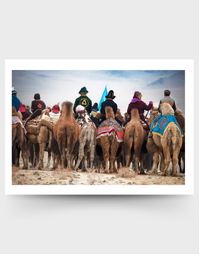 Greeting Card Camel Behinds