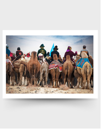 SOPHIE HOWARTH PHOTOGRAPHY | Greeting Card | Camel Behinds