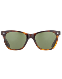AMERICAN OPTICAL | Saratoga  | Tortoise Green | Size 54