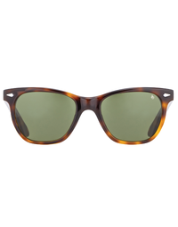 AMERICAN OPTICAL | Saratoga  | Tortoise Green | Size 54