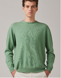 Ernest Classic Crew in Mint Small