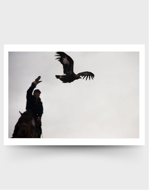 SOPHIE HOWARTH PHOTOGRAPHY | Greeting Card | Eagle Hunter