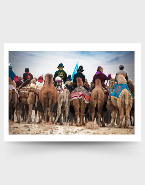 SOPHIE HOWARTH PHOTOGRAPHY | Greeting Card | Camel Behinds