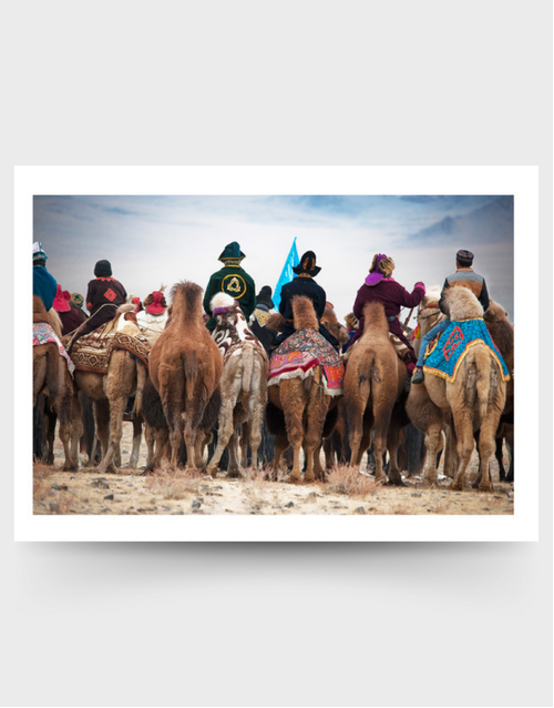 Greeting Card Camel Behinds